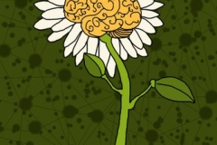 Hirnblume